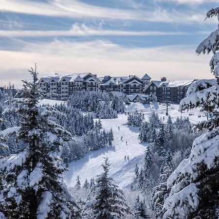 Ski In/Out Snowshoe Luaran gambar