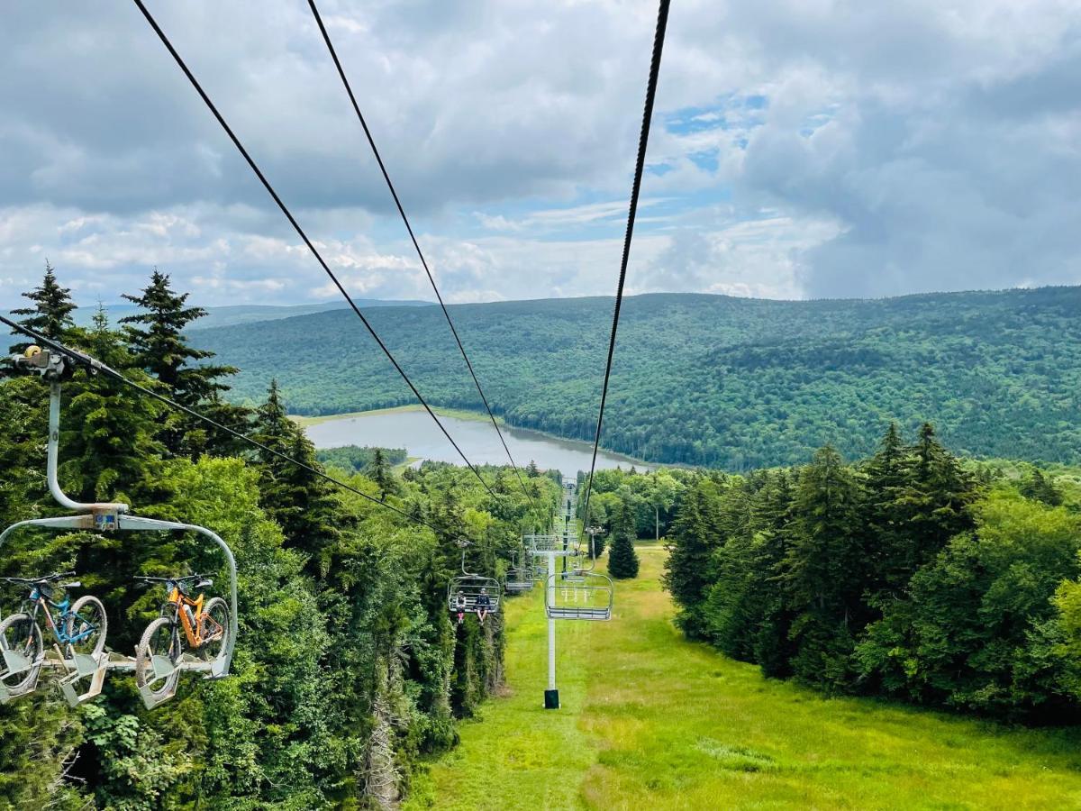 Ski In/Out Snowshoe Luaran gambar