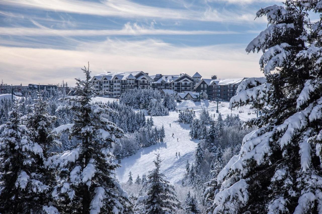 Ski In/Out Snowshoe Luaran gambar